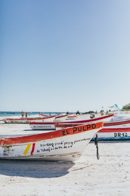 Island Tours: Discover Tropical Paradise